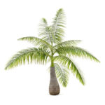 Bottle-palm-unboxgreen-product-01-b