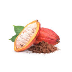 Cocoa-fruit-plant-unboxgreen-product-01-b.1