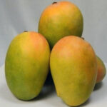 Keshar-Mango-unboxgreen-product-01-b.1