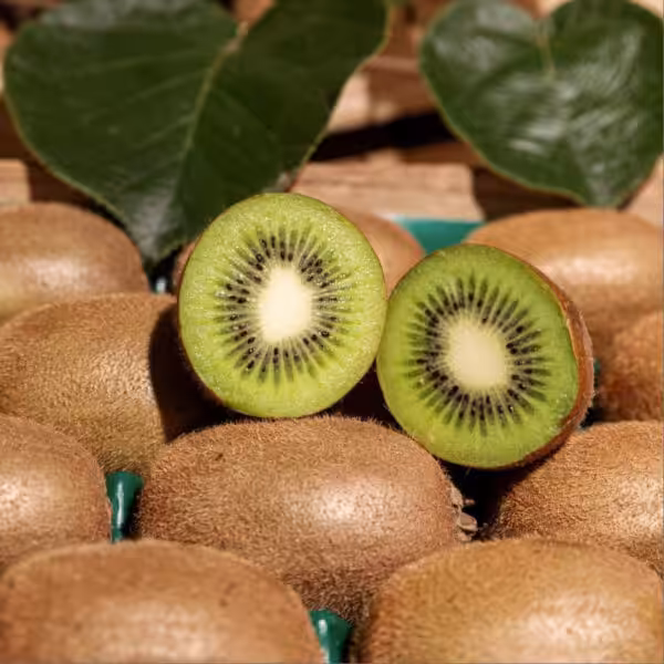 Kiwi-plant-unboxgreen-product-01-d.1