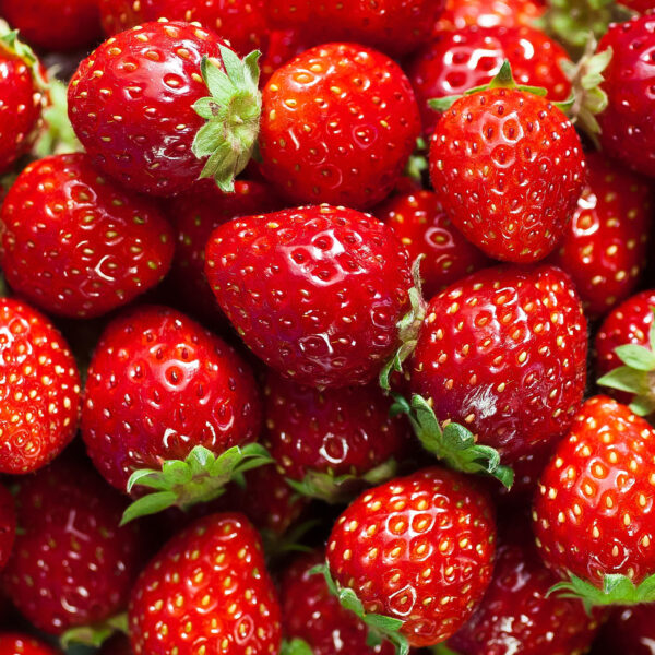 Strawberry-unboxgreen-product-01-b