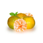 Nagpur-orange-unboxgreen-product-01-d.1