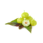 Star-gooseberry-(Or-boroi)-unboxgreen-product-01-c.1