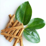 Cinnamomum-verum-Dalchini-unboxgreen-product-01-b